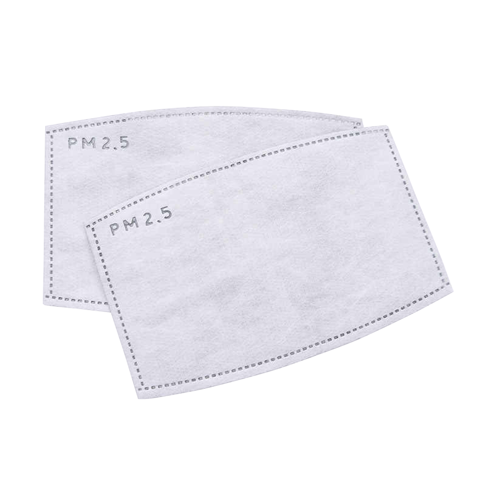 PM2.5 Filter