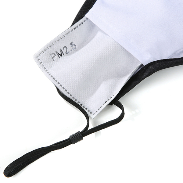 PM2.5 Filter