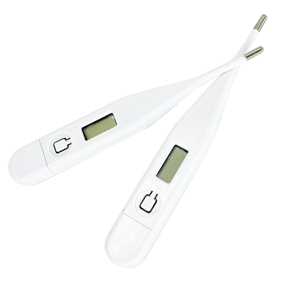 Digital Thermometer
