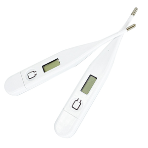 Digital Thermometer